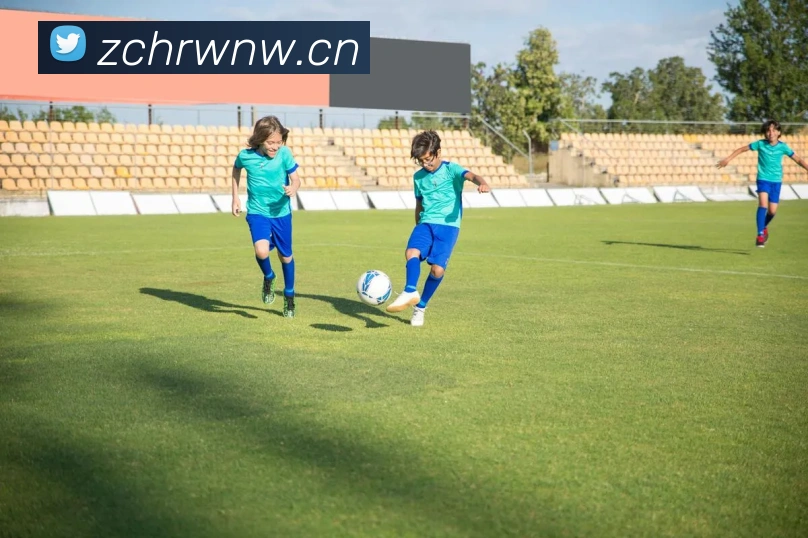 多媒体互动体验